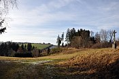 Pechburg  pohled na lokalitu (v lev sti, v mst kde zanaj vzrostl smrky) od Lesn