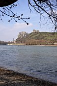 Devn z rakouskho behu Dunaje