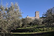 Assisi  Rocca Minore