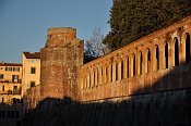 Pisa  Cittadella Nuova (Giardino Scotto)