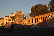 Pisa  Cittadella Nuova