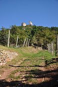 Turniansky hrad od cesty podl vinic