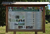 Budkovce  informan tabule za katelem (arboretum)