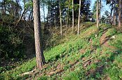 Angerbach – Kožlany