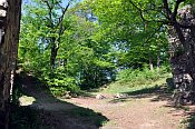 Zboen Kostelec