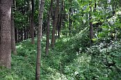 Levín – příkop