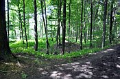 Pustohrad u Hořic – pohled přes příkop od cesty