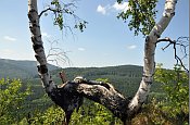 Rabtejn  bzy na vrcholu