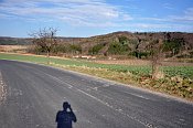 Kozojedy – pohled na zalesněné návrší od silnice do Smilovic