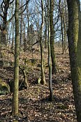 Šumburk – pod hradem