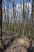 Hůrka – reliéfní pozůstatky hradu