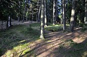 Vimberk  hradn jdro