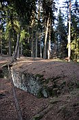 Vimberk  hradn jdro