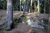 Vimberk  hradn jdro