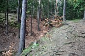 Vimberk  hradn jdro, vlevo val