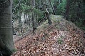 Vimberk  val