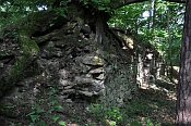 Křikava