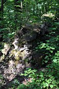 Křikava