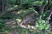 Křikava
