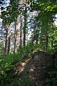 Křikava