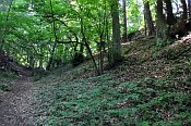 Křikava – příkop, jádro vpravo