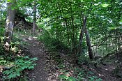 Křikava – svah jádra a příkop