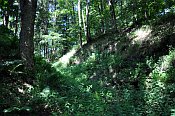 Waldhausen  pkop oddlujc jdro a pedhrad