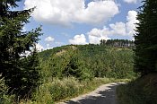 jezd u Boskovic  pohled na vrch od JZ (hrad se nachzel v nezalesnn sti zhruba uprosted snmku)