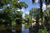 Vlčice – zámecký rybník