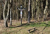 Studenec – Hradisko – kříž na okraji lesa