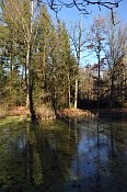 Trocnov – rybník u Mikšova dvorce