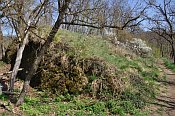 Horákovský hrad – vnitřní šíjový příkop, pohled od hradu