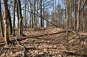 Zboen Kostelec  nad hradem