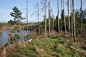Borkov – vnější předhradí