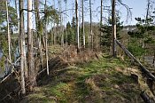 Borkov – prostřední část