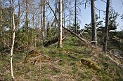 Borkov – prostřední část