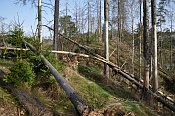 Borkov  jdro hradu, prostedn st v pozad