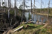Borkov – vnější předhradí, v pozadí prostřední část