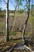 Hrádek u Římovic – okraj lokality nad údolím