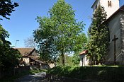 Hněvkovice – tvrz a kostel