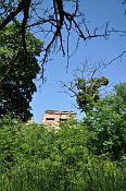 Ladenburg – pohled od cesty
