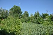 Kozmice – příkop na severní straně