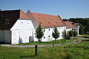 Skočice