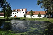Skočice