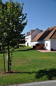 Skočice