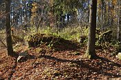 Romberk  torzo ibenice