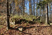 Romberk  torzo ibenice