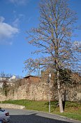 Jindřichův Hradec – městské hradby (Parkány)
