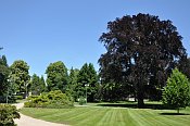 Lny  zmeck park