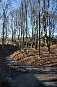 Radonice  tvrzit